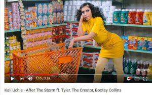 VIDEO:  Kali Uchis "After de storm" ft Tyler The Creator & Bootsy Collins