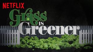 "Grass is Greener" el documental de Netflix sobre la música y la Marihuana #Recomendado #420