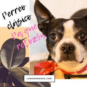 Playlist: Pa´que Retoz3n – Reggaeton Clásico sin interrupción