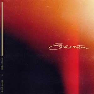 Shawn Mendes y Camila Cabello en "Señorita"